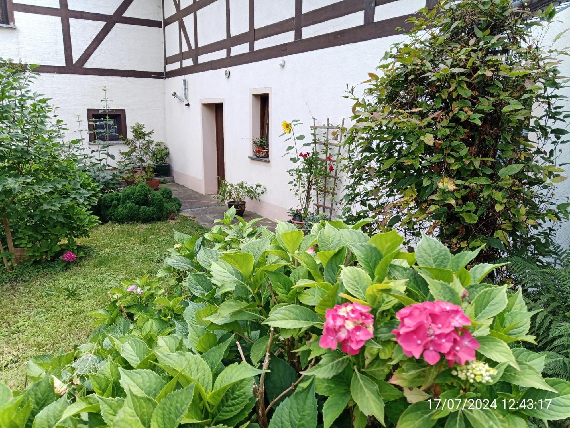 Zimmervermietung Dresden Bagian luar foto